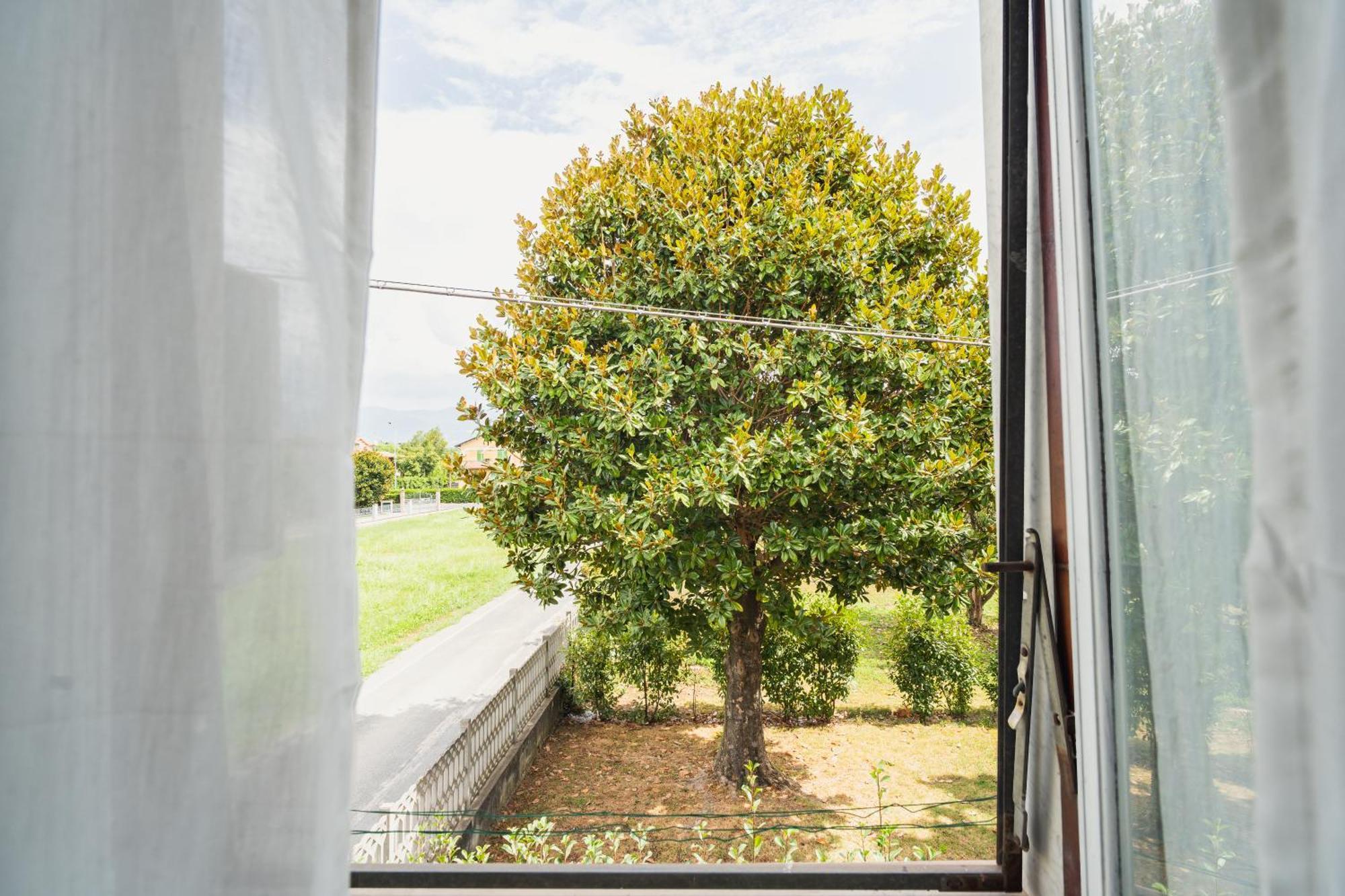 & 5 Terre Cozy Flat Apartment